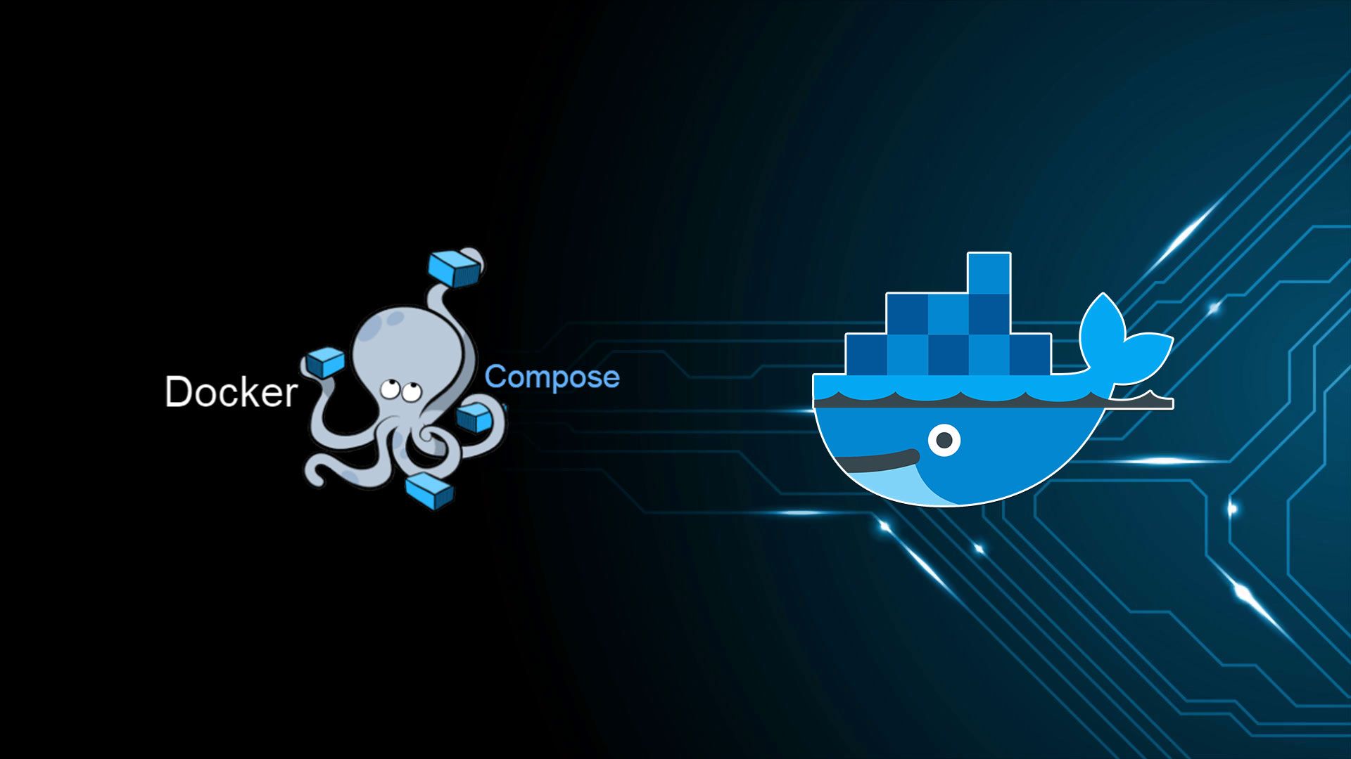 Introduction to Docker Containerization